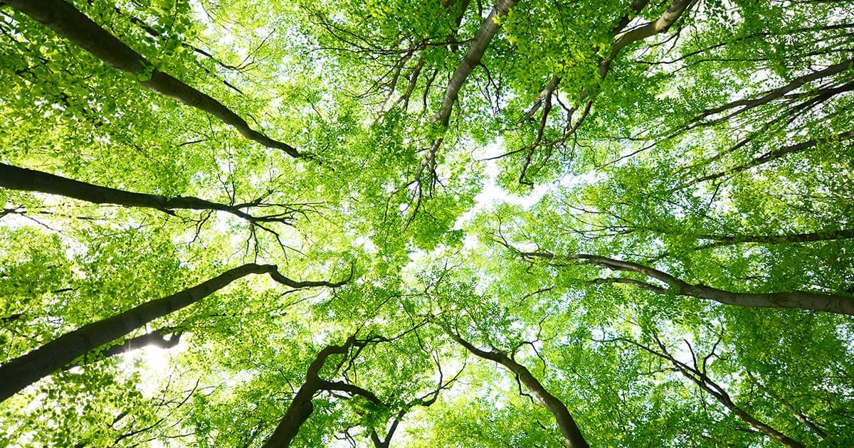 Strumenti del sistema confindustriale dedicati alla decarbonizzazione dei processi produttivi